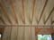 Copy of 100_0348